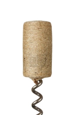 Close up of wine cork