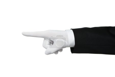 Elegant human hand pointing