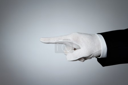 Elegant hand pointing