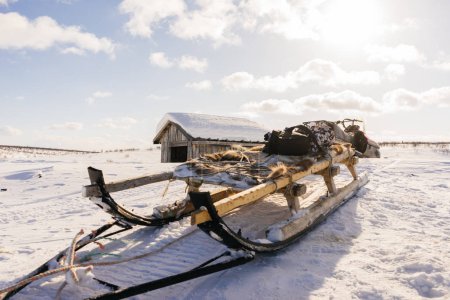 in the far north on a snow-covered field there is a sled