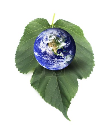 Eco Friendly. Earth on Leaf.