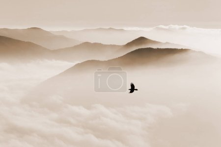 mountains in mist and bird