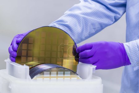 Silicon Wafer with semiconductors in plastic white storage box take out by hand in gloves inside clean room.Wafer with microchips.Rainbow on silicon wafers.Color silicon wafers with glare.