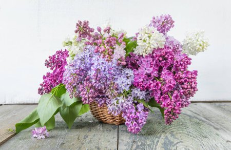 Lush multicolored bouquet of lilac