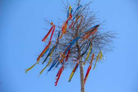 Maypole, decorated with colored ribbons