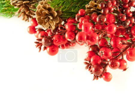 Christmas wreath from red berries, a fur-tree and cones