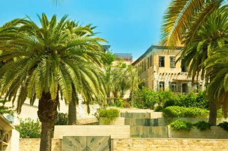 Ancient street in Nazareth, Israel. Date palm trees