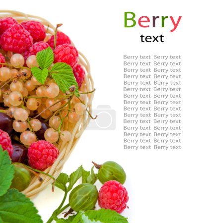 Basket with a raspberry