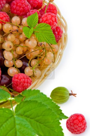 Basket with a raspberry, a cherry and a gooseberry,