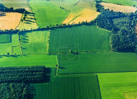 Aerial view of green fields and slopes