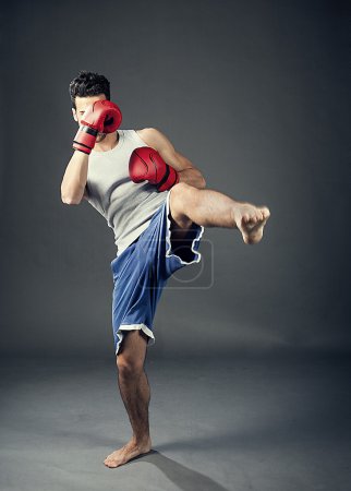Kick boxer