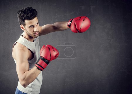Boxer Background