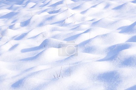 Snow-covered ground