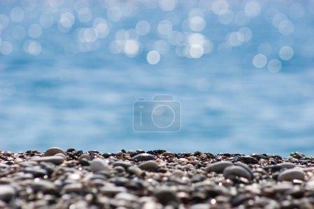 Shore stones