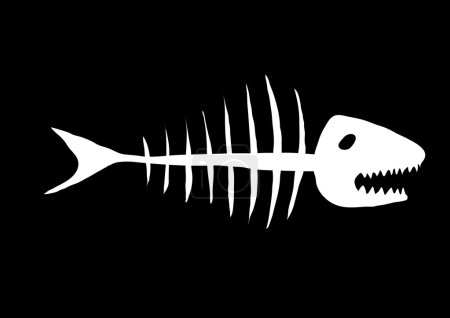 Skeleton of fish