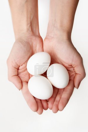 Eggs in hands