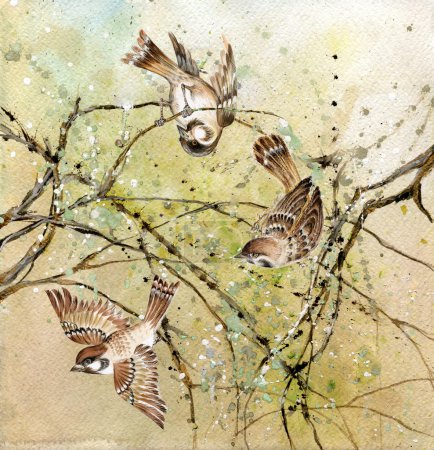 Three sparrows