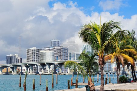 Miami city tropical view