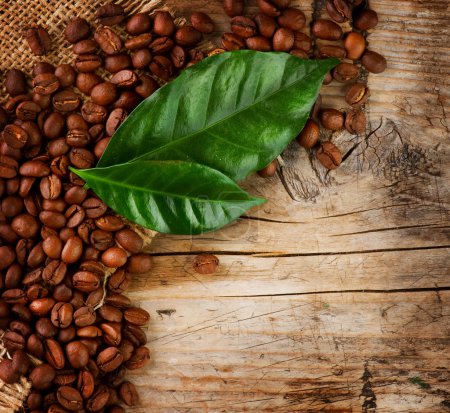 Coffee Border design. Beans and Leaf over Wood Background