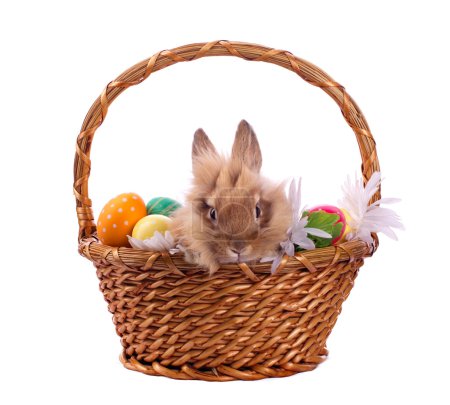 Rabbit and Easter eggs in basket