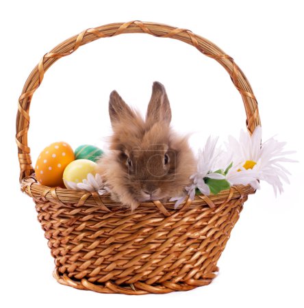 Little bunny and Easter eggs in basket